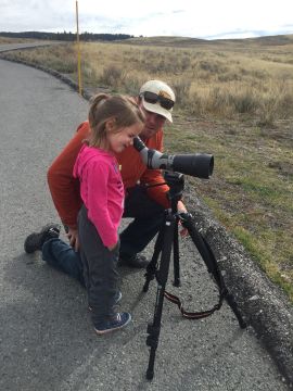 kids, wildlife, safari, bears, national parks, wildlife, animals, #findyourpark