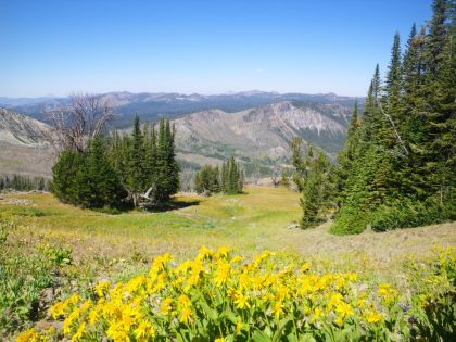 Top of Electric Pass - Yellowstone Guidelines 