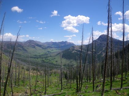 View from Bliss Pass - Yellowstone Guidelines 
