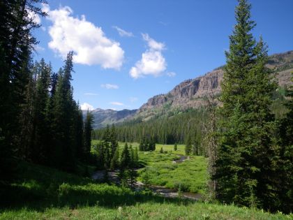 Yellowstone, Pebble Creek