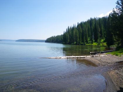 Shores of Shoshone Lake - Yellowstone Guidelines 