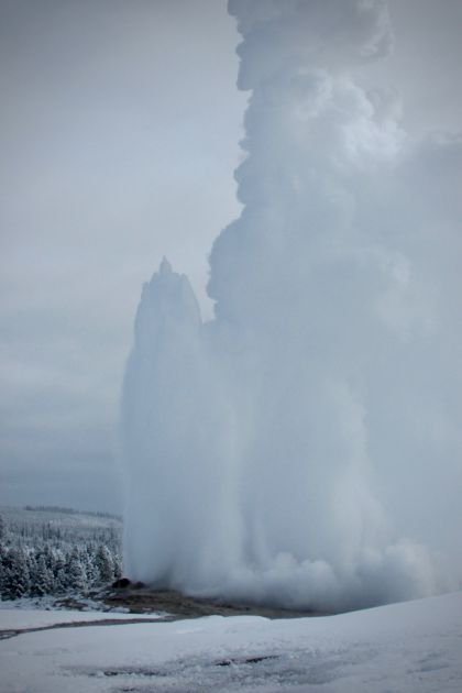 Old Faithful Geyser in winter - Yellowstone Guidelines 
