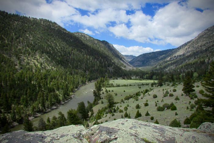 View of the Yellowstone River - YNP Yellowstone, hiking, backpacking, trekking, wilderness, Black Canyon
