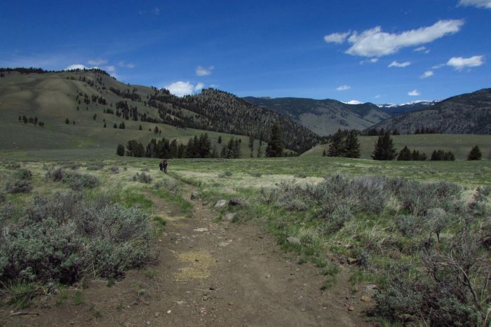 Yellowstone, hiking, backpacking, Yellowstone Guidelines, trekking, Blacktail Plateai