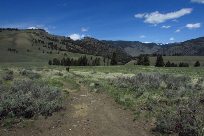 Absaroka Mountains from Yellowstone - YNP Yellowstone, hiking, backpacking, Yellowstone Guidelines, trekking, Blacktail Plateai
