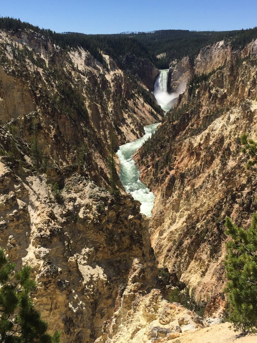 Lower Falls of the Yellowstone Lower Falls of the Yellowstone