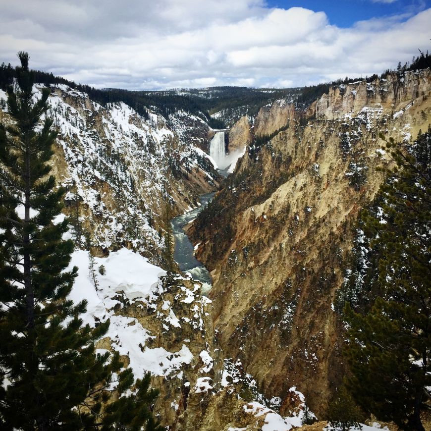 Lower Falls of the Yellowstone 