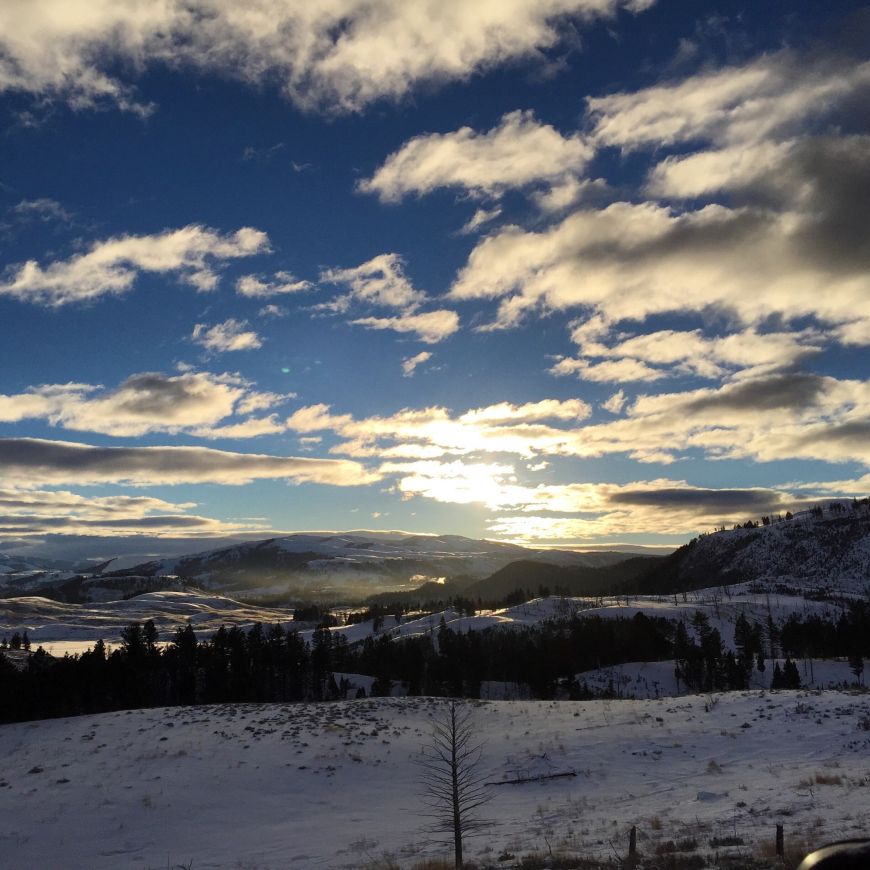 Sunrise in Yellowstone National Park 