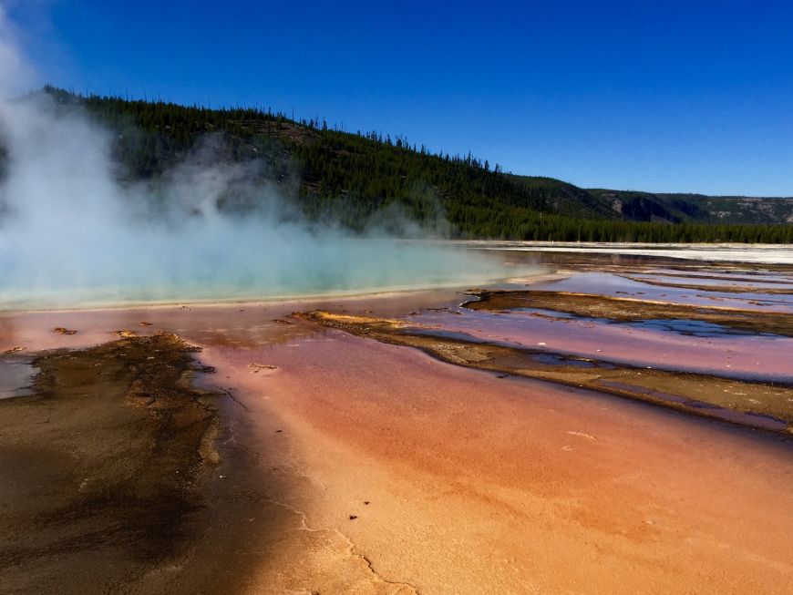 Grand Prismatic Spring - YNP Grand Prismatic Spring, Yellowstone, nature, #Yellowstone, #Findyourpark