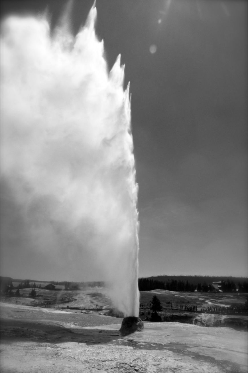 Bee Hive Geyser - Yellowstone National Park Bee Hive Geyser - Yellowstone National Park