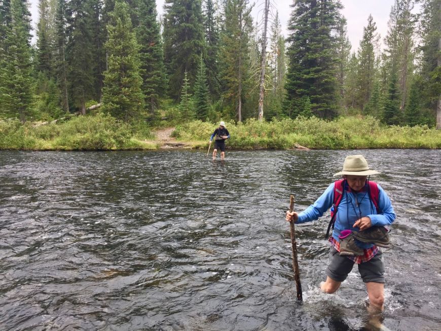 Crossing the Falls River in Yellowstone Fording a river in Yellowstone