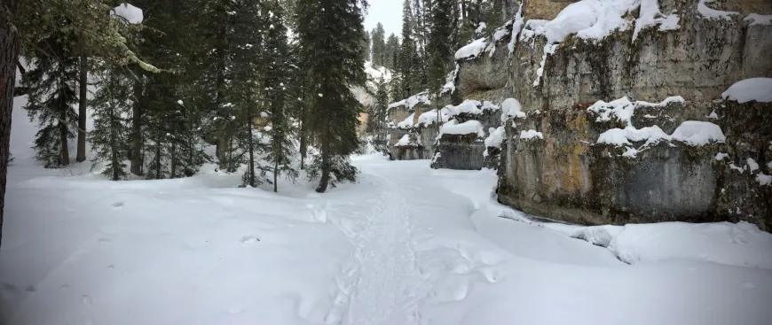 Snowshoeing Pebble Creek in Yellowstone