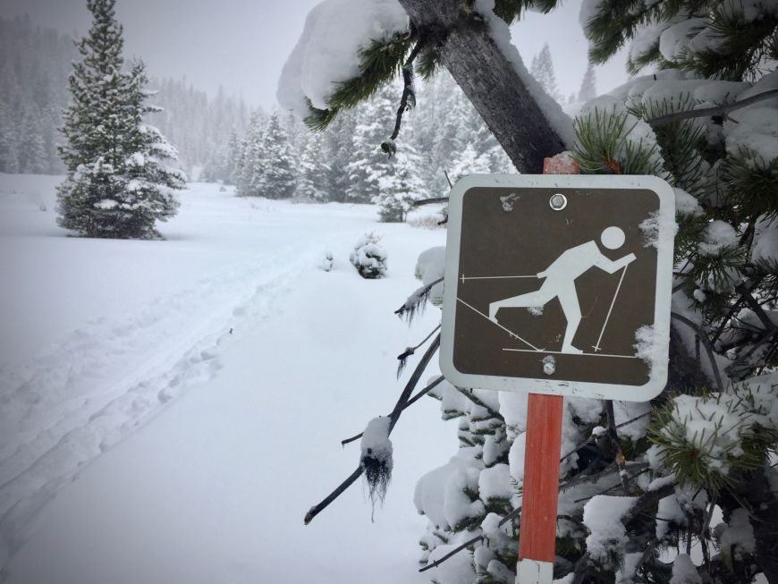 Cross-country Ski Sign in Yellowstone 