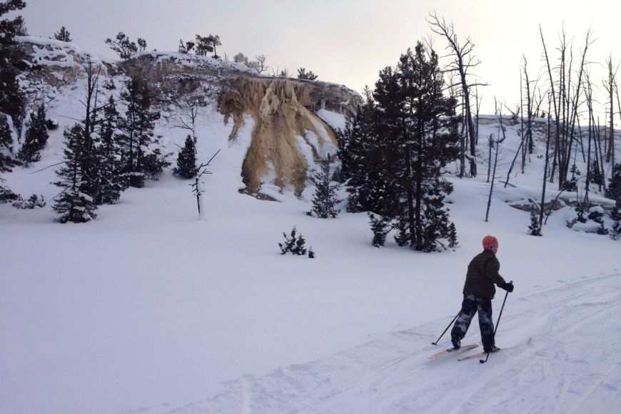 Cross Country Ski Tours in Yellowstone 