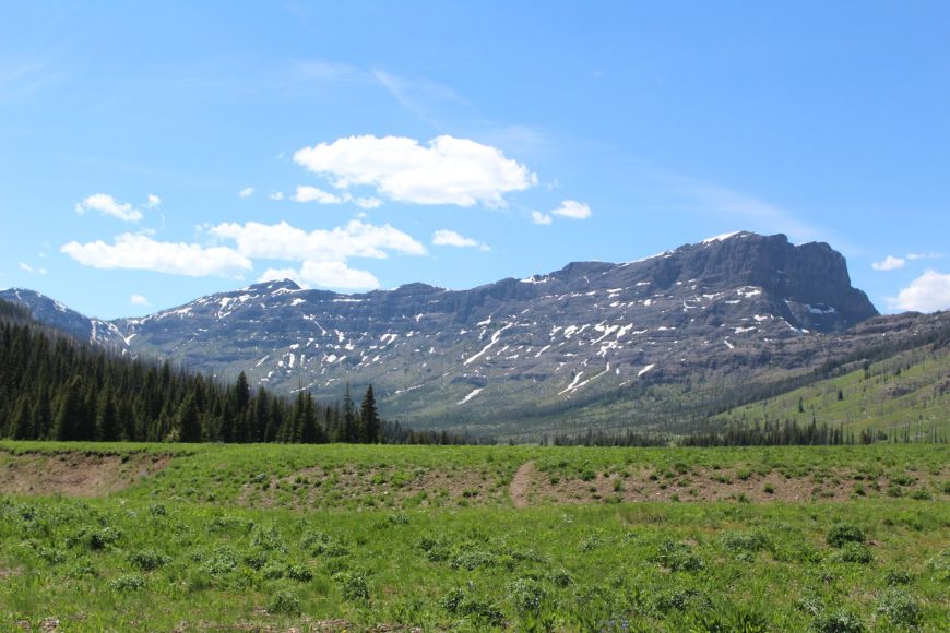 Upper Meadows of Pebble Creek - Yellowstone Yellowstone, backpacking, Yellowstone backpacking