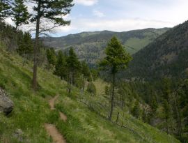 Hiking in Yellowstone National Park 