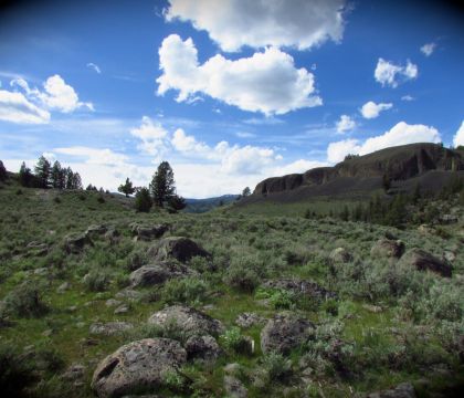 Black Canyon - Yellowstone National Park 
