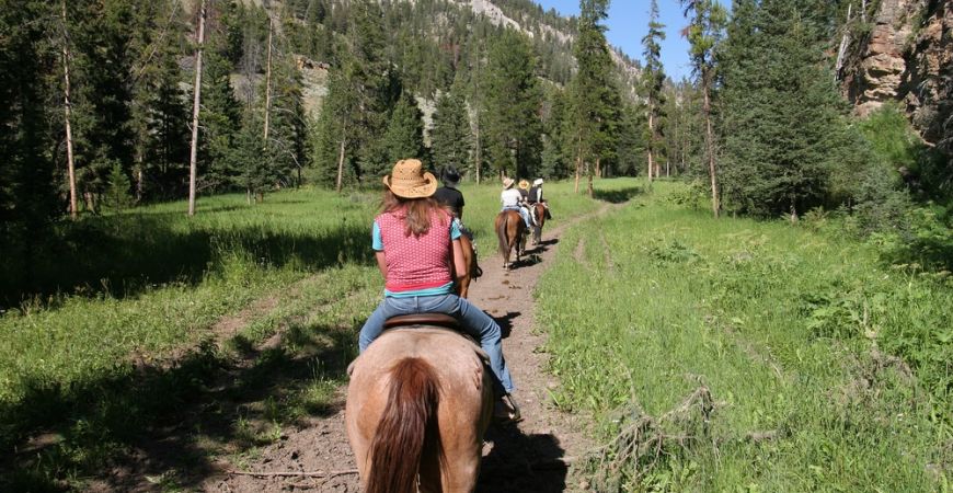 Horseback Riding in the moutains