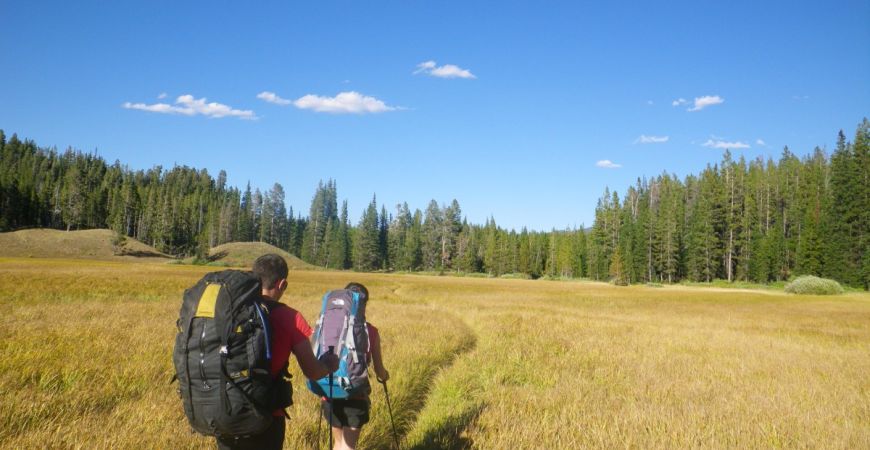 Electric Pass, Yellowstone National Park Yellowstone Backpacking Tours