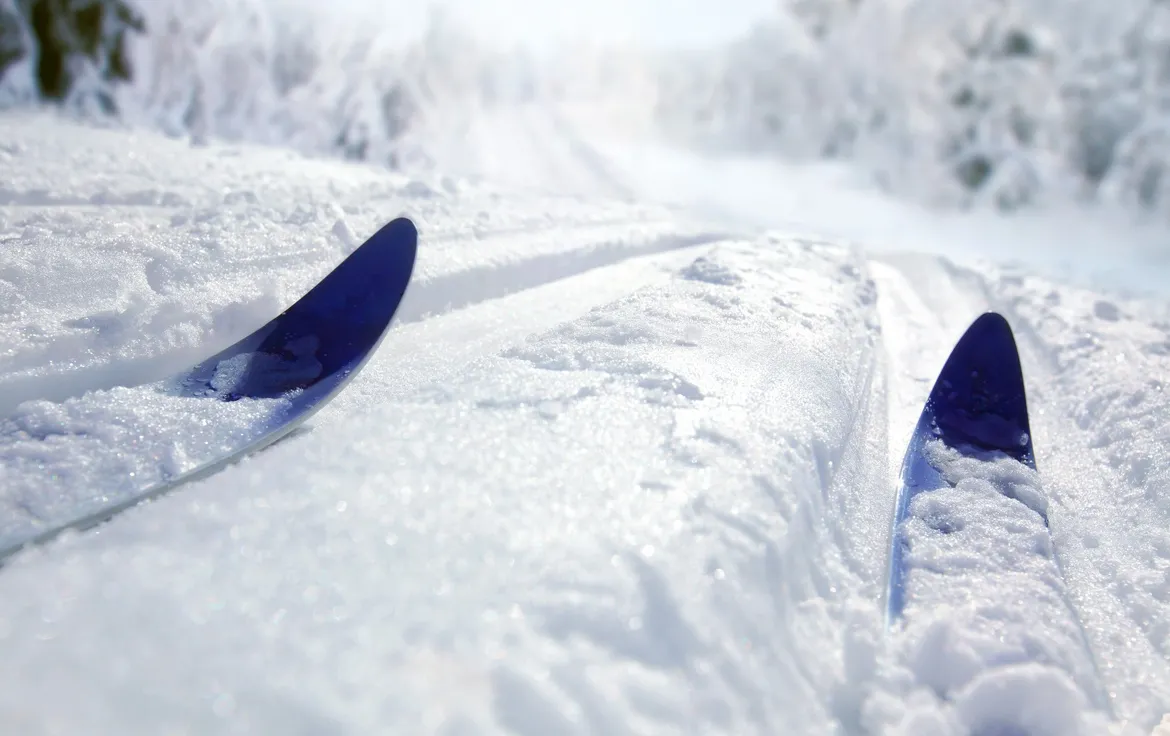 Skiing in Yellowstone 