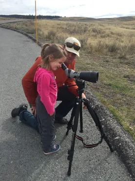 View the wildlife in Yellowstone Viewing the wildife in Yellowstone