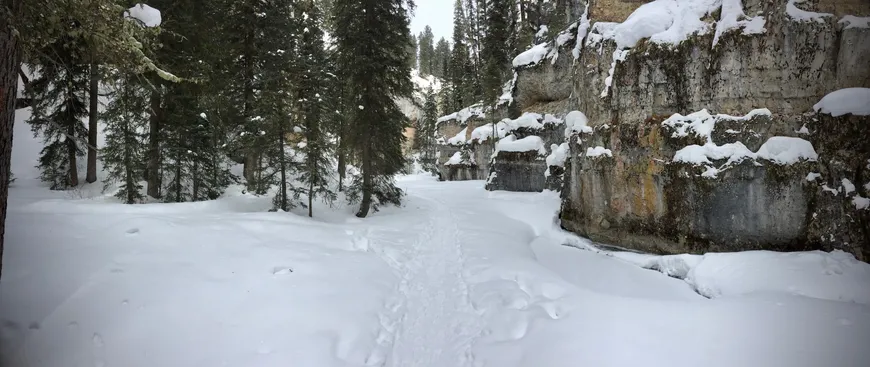Snowshoeing Pebble Creek in Yellowstone Snowshoeing Pebble Creek in Yellowstone
