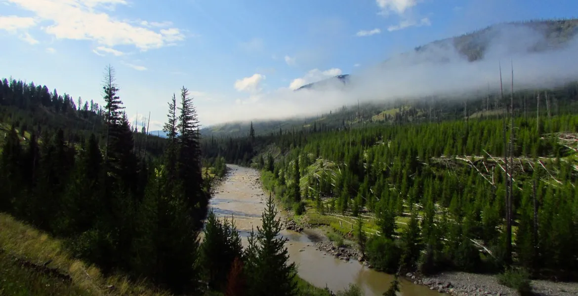 Lamer River, Backpacking, Yellowstone National Park 