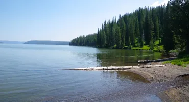Shoshone Lake Trail