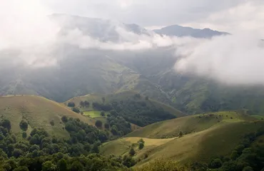 Secret Solitude