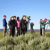 How to Plan Your Best Vacation in Yellowstone