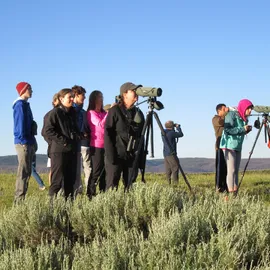 How to Plan Your Best Vacation in Yellowstone