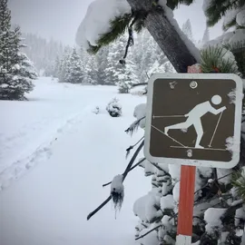 Cross Country Skiing in Yellowstone The Park's Northeast Corner