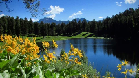 yellowstone-banner-4