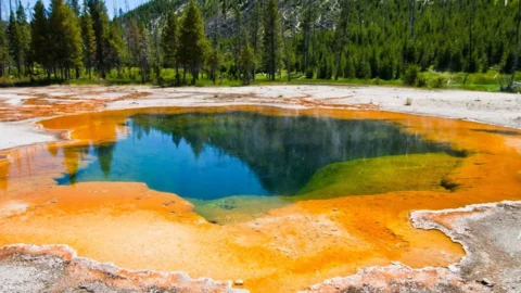 yellowstone-banner-5