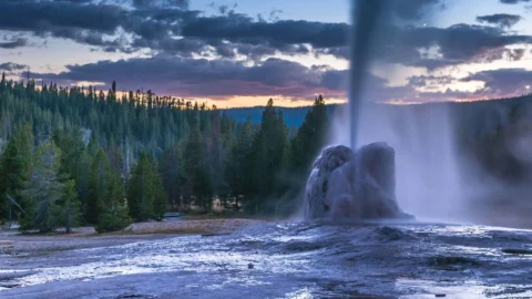 yellowstone-banner-7