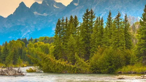 yellowstone-banner-9