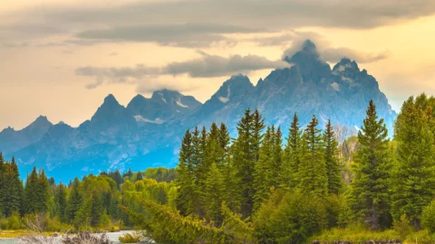 yellowstone-home-banner-3