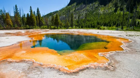 yellowstone-home-banner-4