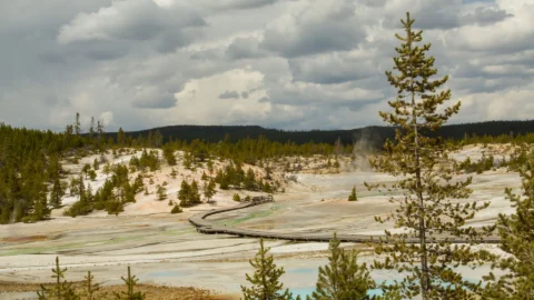 yellowstone-home-banner-5